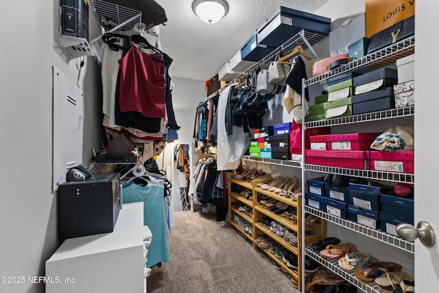11286 Minnetta Ct, Jacksonville, FL 32256 - spacious closet with carpet flooring