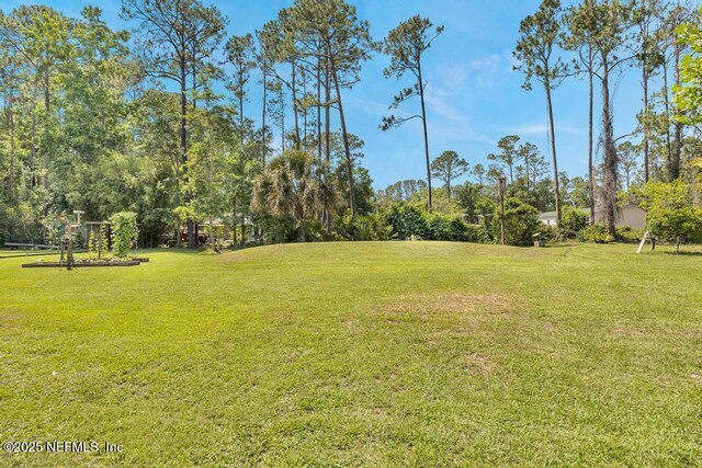 7041 Catlett Rd, Saint Augustine, FL 32095 - view of green lawn with view of scattered trees