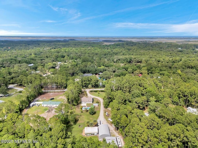 7041 Catlett Rd, Saint Augustine, FL 32095 - aerial view of property's location with a forest
