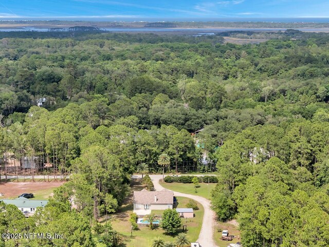 7041 Catlett Rd, Saint Augustine, FL 32095 - aerial view of a forest
