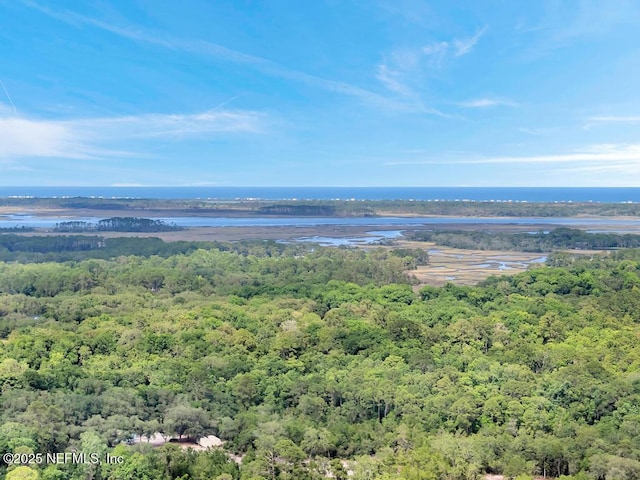 7041 Catlett Rd, Saint Augustine, FL 32095 - aerial view of a forest and a large body of water