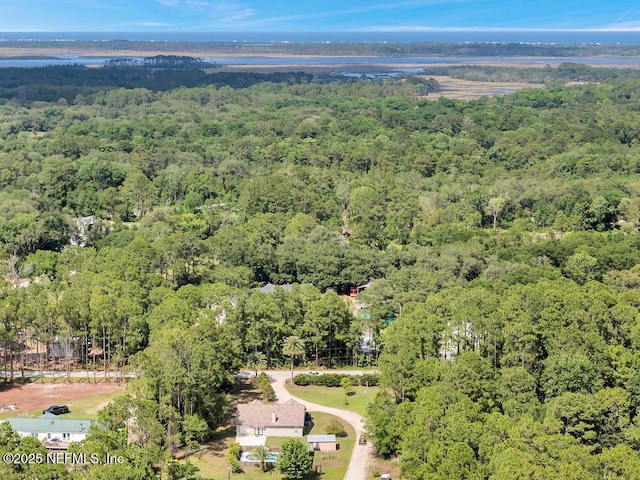 7041 Catlett Rd, Saint Augustine, FL 32095 - view of property location featuring a forest