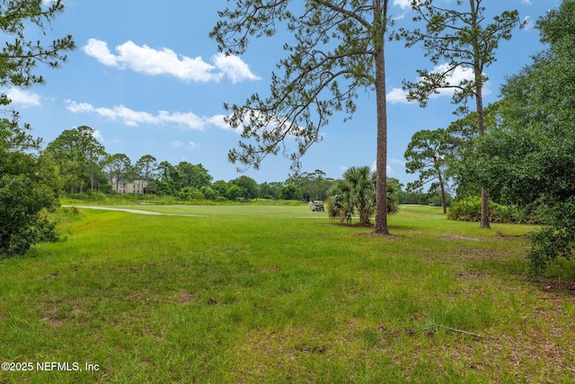 419 Sevilla Dr, Saint Augustine, FL 32086 - view of green lawn