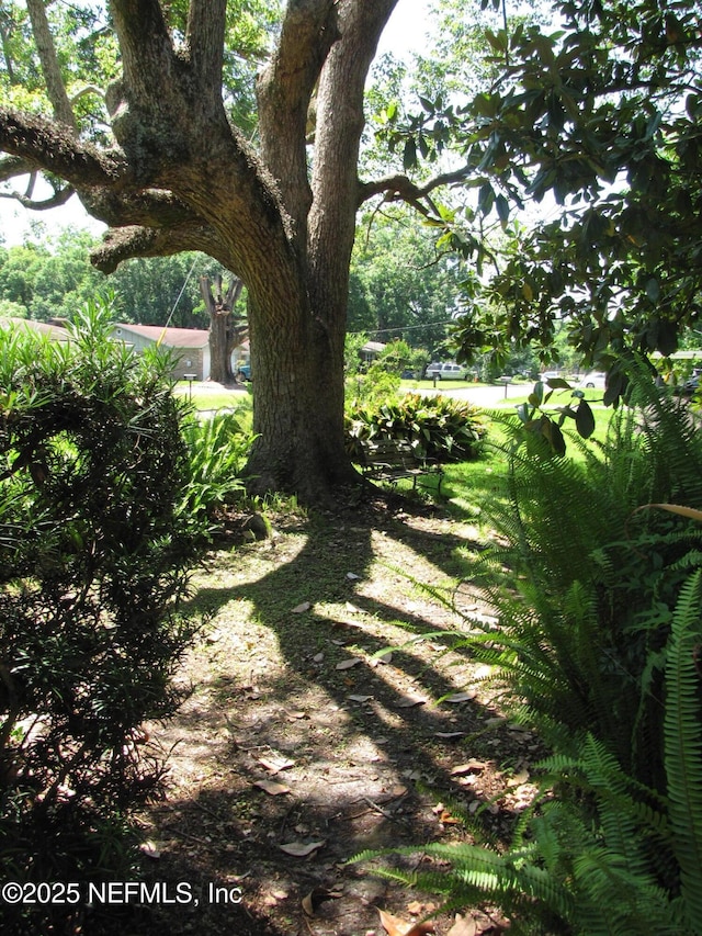 870 Allison St, Jacksonville, FL 32254 - view of yard