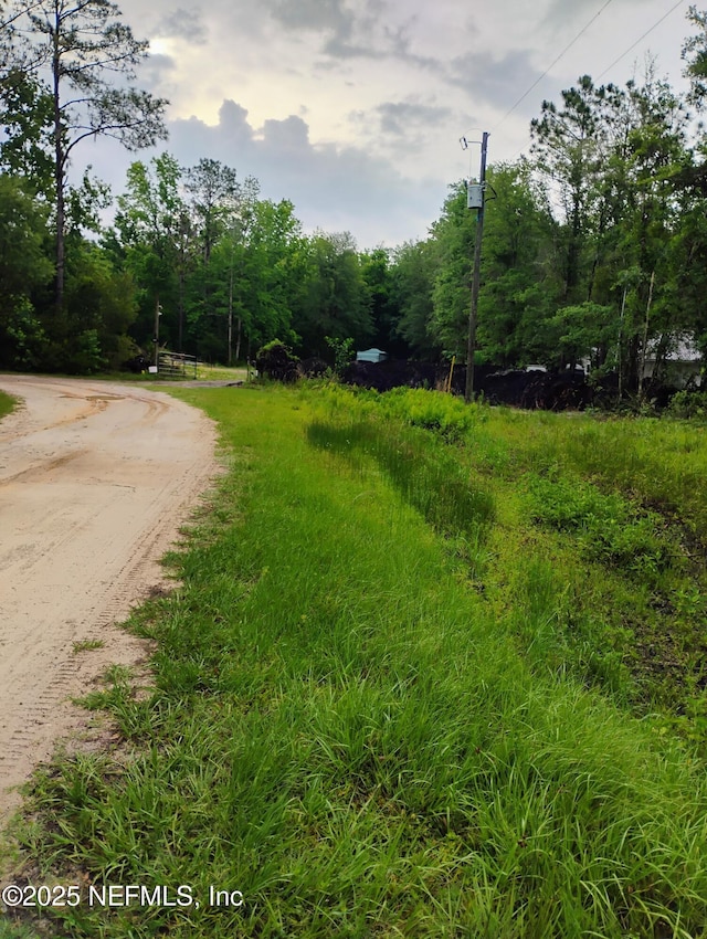 228 Atkins Rd, Georgetown, FL 32139