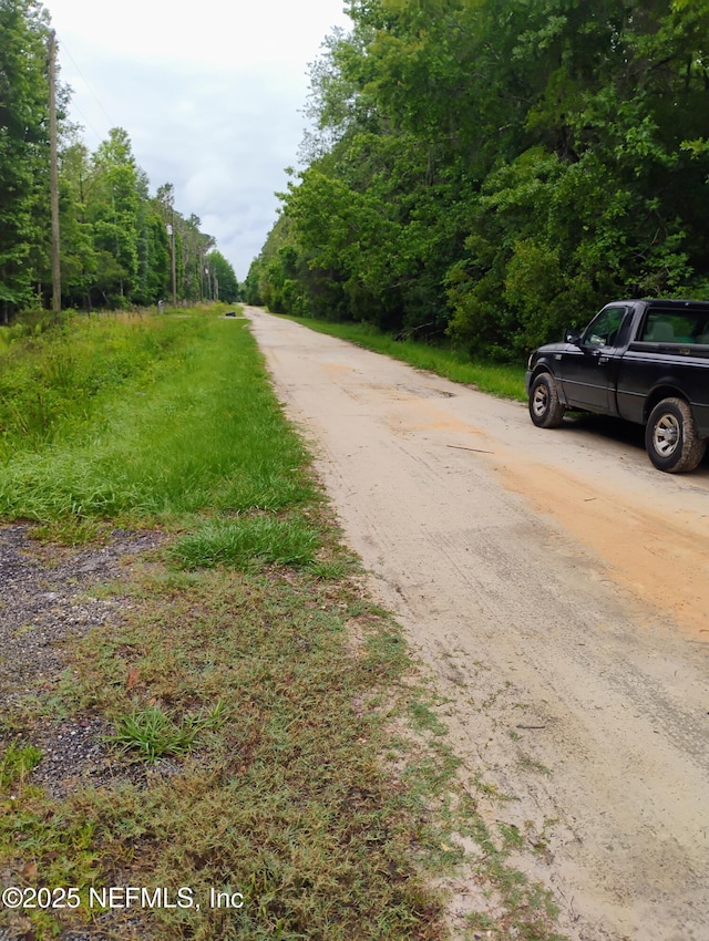 228 Atkins Rd, Georgetown, FL 32139