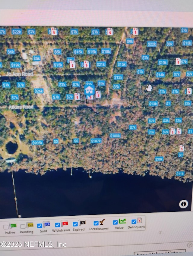 228 Atkins Rd, Georgetown, FL 32139