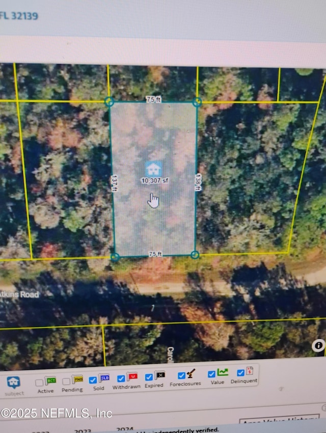 228 Atkins Rd, Georgetown, FL 32139