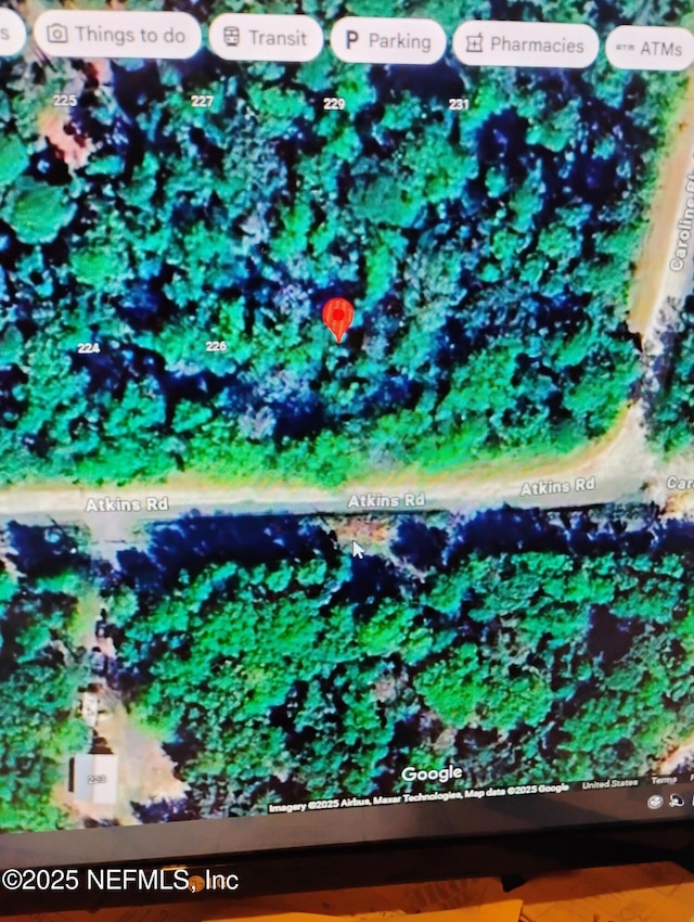 228 Atkins Rd, Georgetown, FL 32139