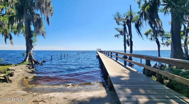 228 Atkins Rd, Georgetown, FL 32139