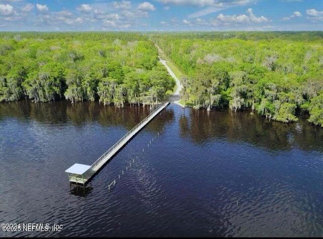 228 Atkins Rd, Georgetown, FL 32139