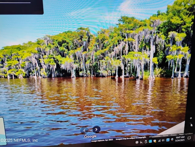 228 Atkins Rd, Georgetown, FL 32139