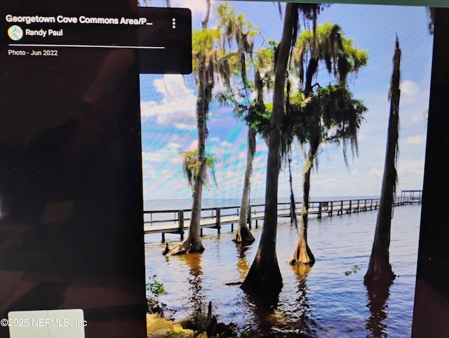228 Atkins Rd, Georgetown, FL 32139
