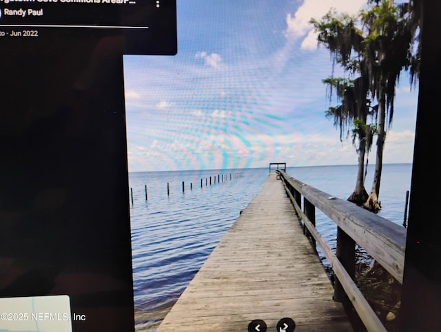 228 Atkins Rd, Georgetown, FL 32139