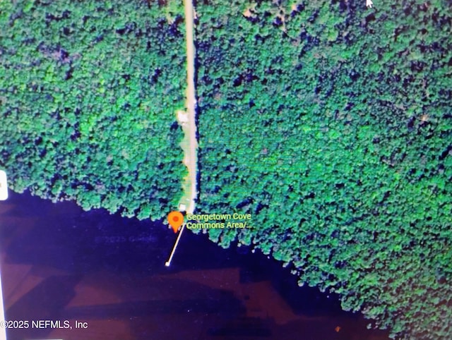 228 Atkins Rd, Georgetown, FL 32139