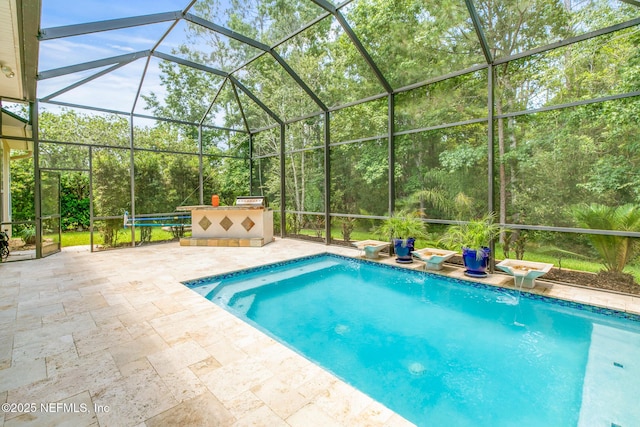 117 Pineta Way, Saint Johns, FL 32259 - swimming pool with exterior kitchen, a patio, and glass enclosure