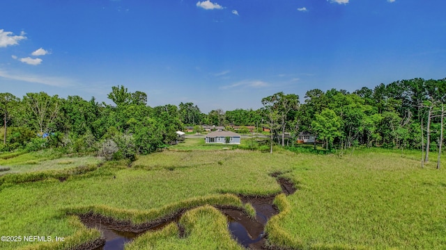 9706 Sibbald Rd, Jacksonville, FL 32219 - view of yard