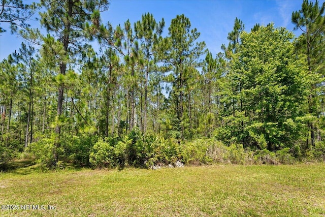 9955 Kings Crossing Dr E, Jacksonville, FL 32219 - view of green lawn with a forest view