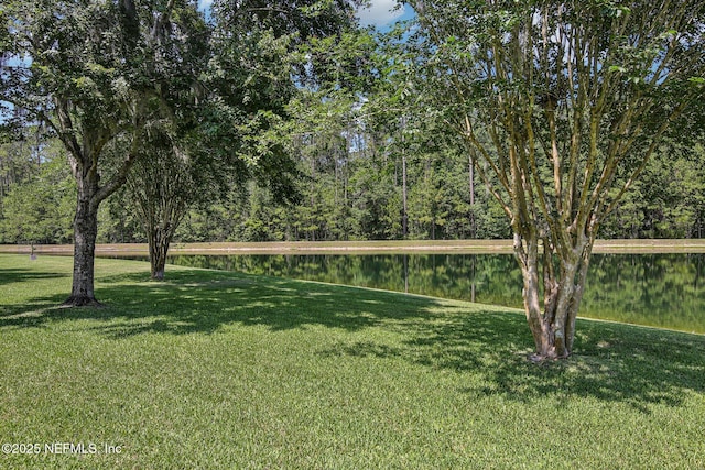 2579 Woodgrove Rd, Fleming Island, FL 32003 - view of home's community featuring a lawn