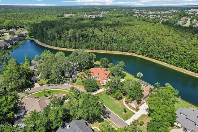 2579 Woodgrove Rd, Fleming Island, FL 32003 - aerial view of property's location featuring a heavily wooded area, a nearby body of water, and nearby suburban area