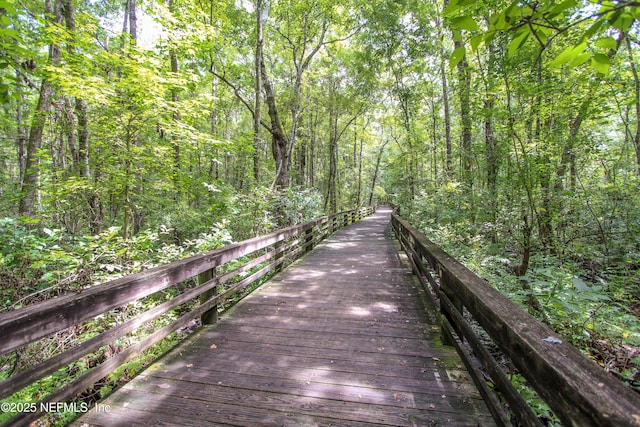 2579 Woodgrove Rd, Fleming Island, FL 32003 - view of home's community featuring a forest view