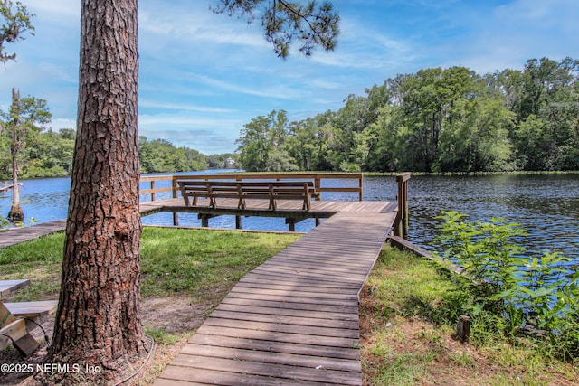 2579 Woodgrove Rd, Fleming Island, FL 32003 - dock featuring a water view