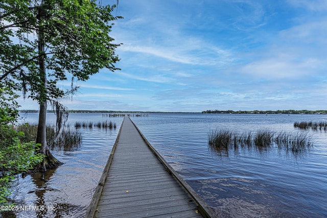 2579 Woodgrove Rd, Fleming Island, FL 32003 - dock area with a water view