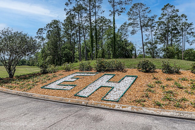 2579 Woodgrove Rd, Fleming Island, FL 32003 - view of green lawn