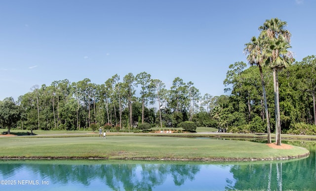 2579 Woodgrove Rd, Fleming Island, FL 32003
