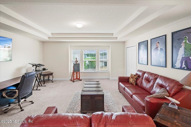 2629 Cold Stream Ln, Green Cove Springs, FL 32043 - living area with a raised ceiling and carpet floors