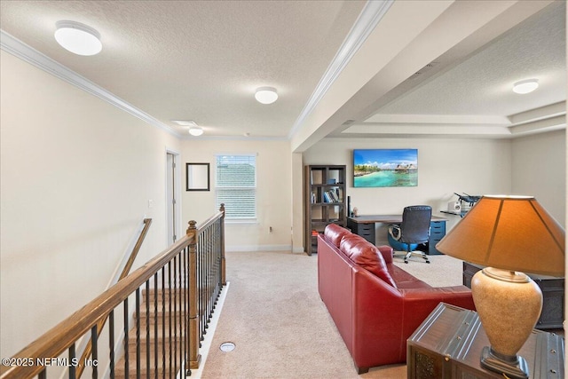 2629 Cold Stream Ln, Green Cove Springs, FL 32043 - living room featuring a textured ceiling, light carpet, ornamental molding, and an office area