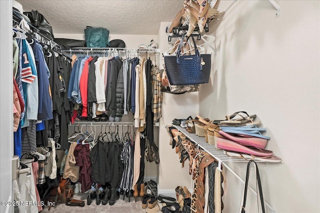 2629 Cold Stream Ln, Green Cove Springs, FL 32043 - view of walk in closet