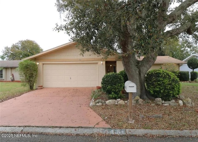 4431 Mitcher Rd, New Port Richey, FL 34653 - view of front of house with a garage, driveway, and stucco siding