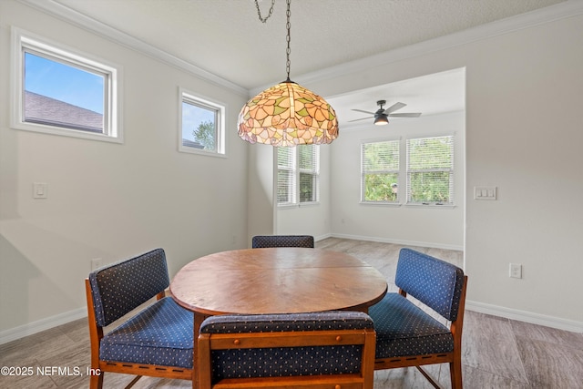 109 Sweet Pine Trl, Ponte Vedra, FL 32081 - dining space featuring plenty of natural light, crown molding, ceiling fan, and baseboards