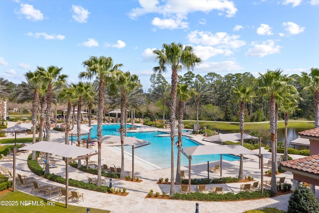 109 Sweet Pine Trl, Ponte Vedra, FL 32081 - community pool with view of scattered trees