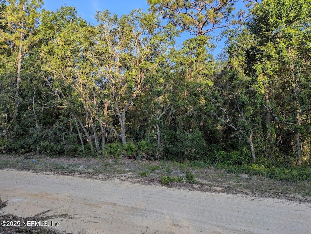 103 George Way, Interlachen, FL 32148 - photo 1