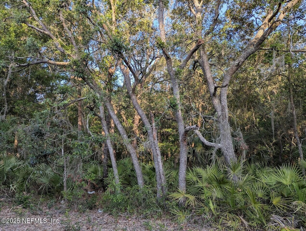 103 George Way, Interlachen, FL 32148 - photo 2