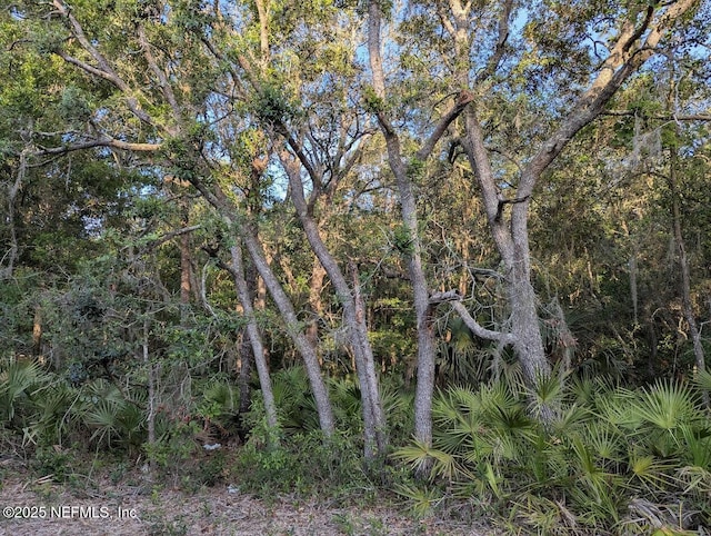 103 George Way, Interlachen, FL 32148 - photo 2