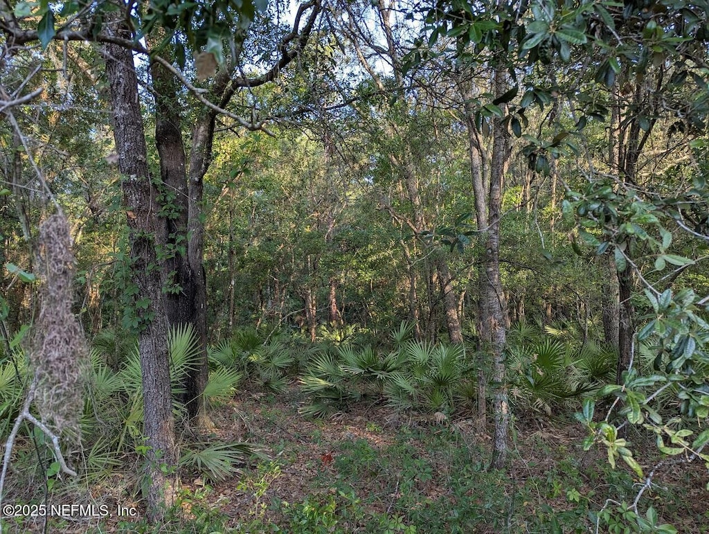 103 George Way, Interlachen, FL 32148 - photo 3