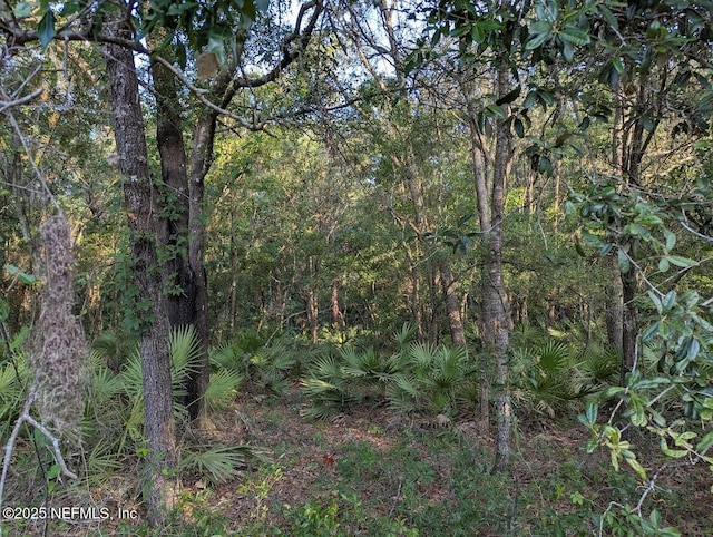 103 George Way, Interlachen, FL 32148 - photo 3