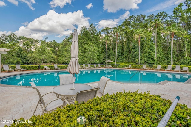 7701 Timberlin Park Blvd Unit 331, Jacksonville, FL 32256 - community pool featuring a patio area and view of wooded area