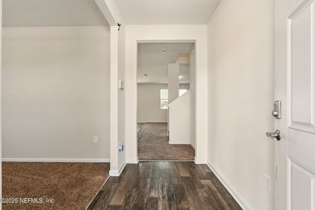 3238 Little Fawn Ln, Green Cove Springs, FL 32137 - hallway with dark wood finished floors, baseboards, and dark colored carpet