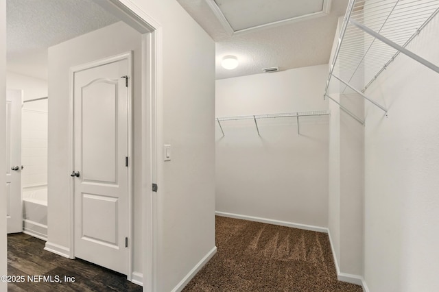 3238 Little Fawn Ln, Green Cove Springs, FL 32137 - walk in closet with attic access