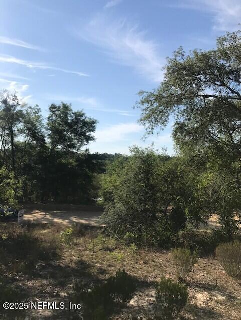 0 Twin Lakes Blvd, Interlachen, FL 32148