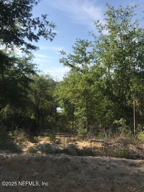 0 Twin Lakes Blvd, Interlachen, FL 32148