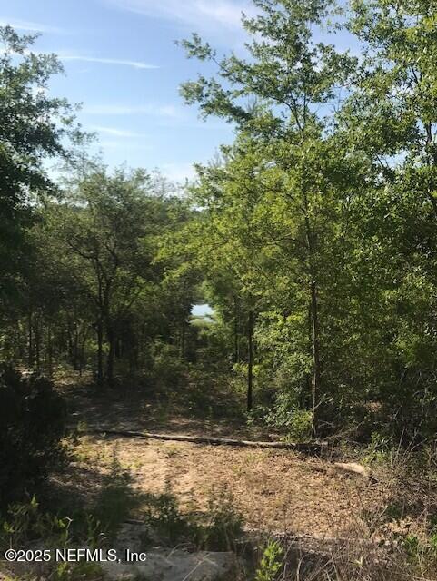 0 Twin Lakes Blvd, Interlachen, FL 32148