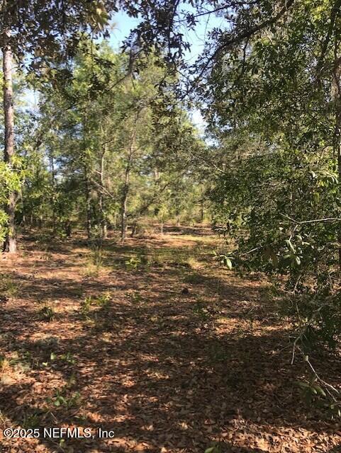 0 Twin Lakes Blvd, Interlachen, FL 32148