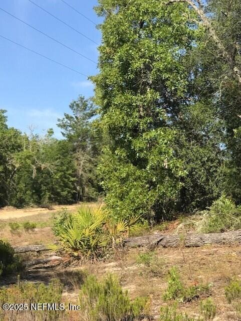 0 Twin Lakes Blvd, Interlachen, FL 32148