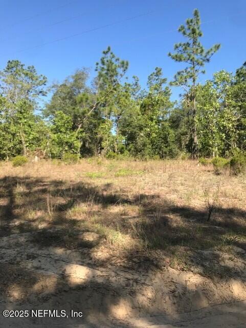 0 Twin Lakes Blvd, Interlachen, FL 32148