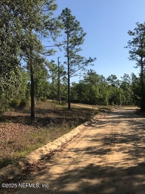 0 Twin Lakes Blvd, Interlachen, FL 32148